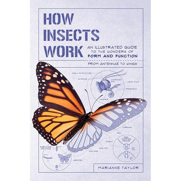 The Insects: Structure and Function 5, Chapman, R. F., Simpson